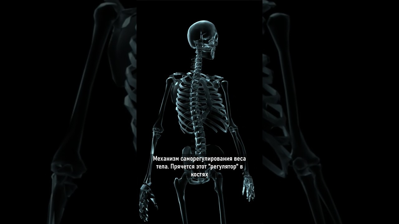 научный, инновационный способ похудеть 