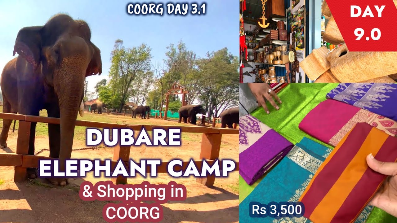 Coorg Vlog 5| Dubare Elephant Camp Coorg  | Shopping In Coorg | Coorg Tourist places