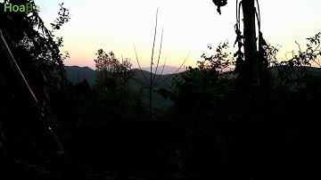 CUNG CHÚC CẢ NHÀ NĂM MỚI AN KHANG THỊNH VƯỢNG ( KỶ HỢI 2019)