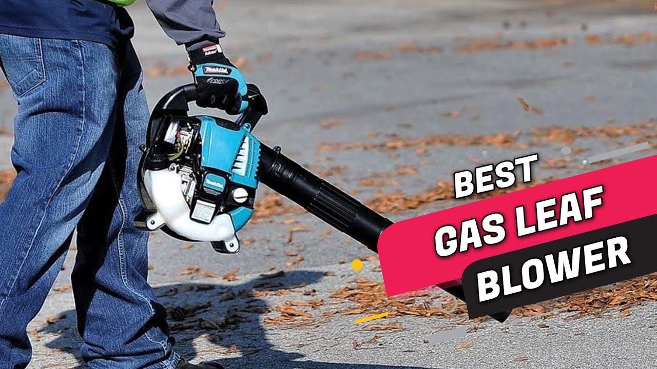 Top 5 Best Gas Leaf Blowers Review in 2023 YouTube