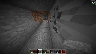 Playing in Minecraft (No talking)