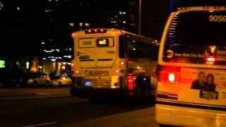 MTA Bus/NYCT: Nova-RTS #9056 B83 Orion VII #6812 B82 & MCI D4500CT #2249 BM2 at Penn Ave