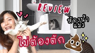 Review : ห้องน้ำแมวคันโยก CATIT สะดวกสบาย ทาสแมวไม่ต้องตักอึให้เสียเวลา | SungsungBlog