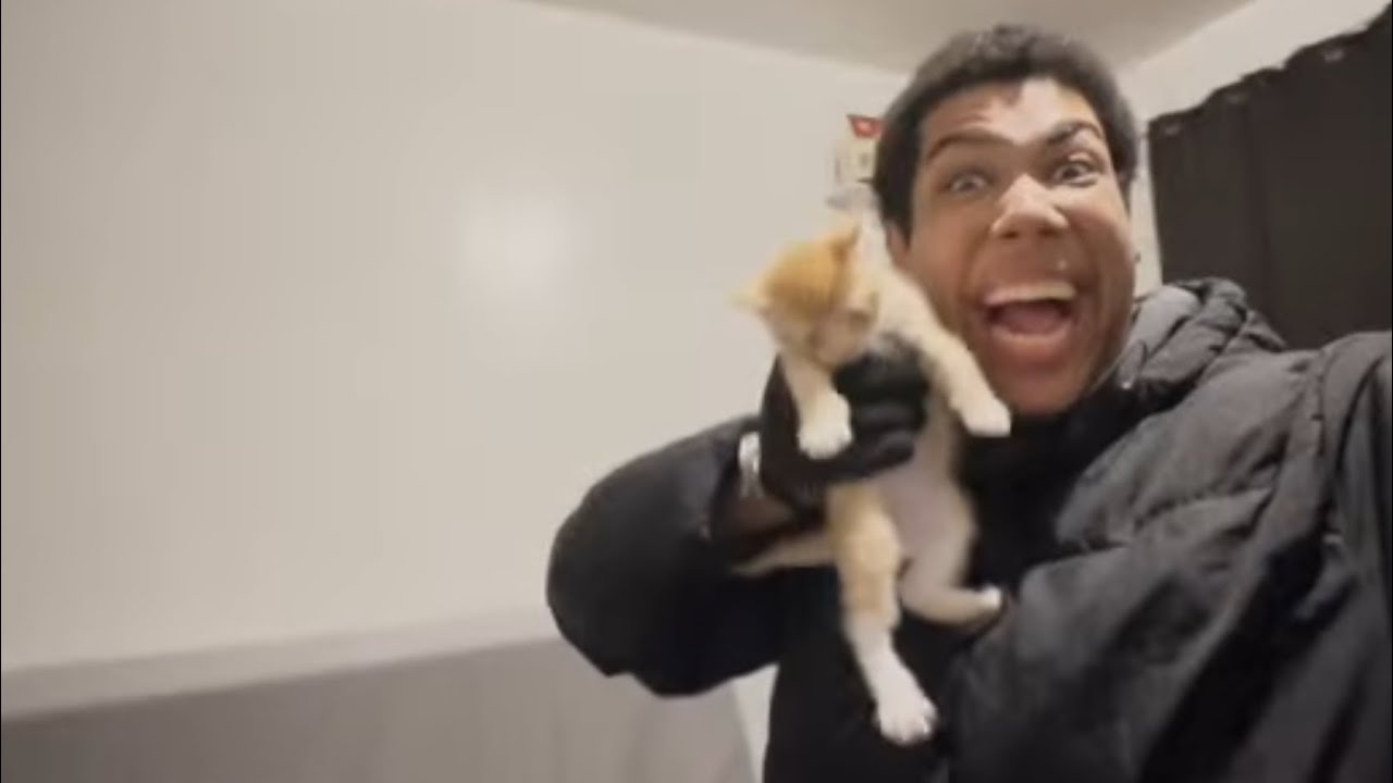 ImExotic ft: Cats N Dogs (DAY 253/1,000)