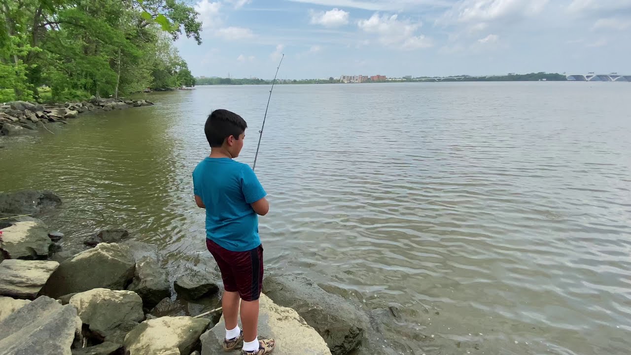 Lugar donde hacer picnic, fiesta en Alexandria/ Parte Bell Haven Park
