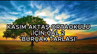 KASIM AKTAŞ İÇİN ÇAL 2 - BURÇAK TARLASI