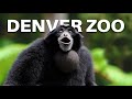 Denver Zoo, Denver, Colorado