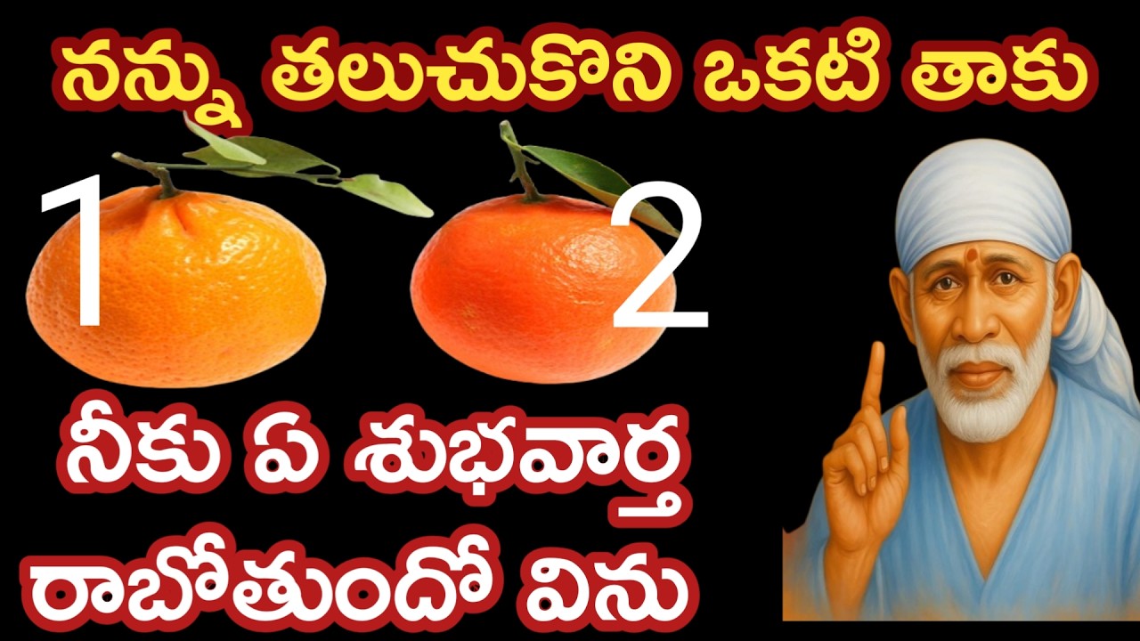 ఈరెండు నారింజ పడ్లలో ఒకటి అనుకో బిడ్డా నీగురించి తెలుసుకో తల్లీ |saibaba advice @saipalukulu
