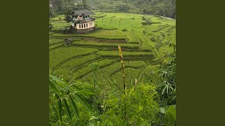 Duduk lah di sampingku