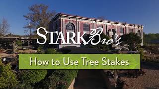 How to Use Tree Stakes
