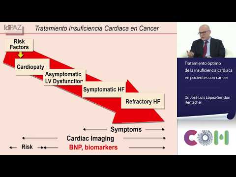 Vídeo: Difusión De Fibrosis Miocárdica Por Mapeo T1 En Niños Con Cardiotoxicidad Subclínica De Antraciclina: Relación Con La Capacidad De Ejercicio, Dosis Acumulada Y Remodelación