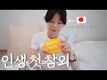 일본사람이 잘 모르는 음식 ‘참외’를 처음으로 먹어본 반응