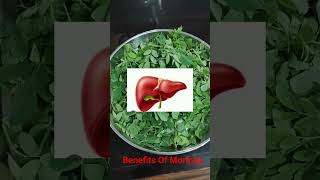 Moringa Benefits #health #nutrition #natural #mentalhealth #sahajan #healthylifestyle