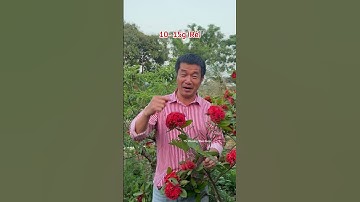 Dùng "đúng" 3 hôm hết rối loạn tiêu hóa! #tiensiphuongthaoduoc #thaoduoc #suckhoe #bongtrangdo