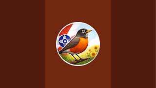 Wichita Backyard Birds  is live! #birds #birdsong #squirrel #chicken #cattv