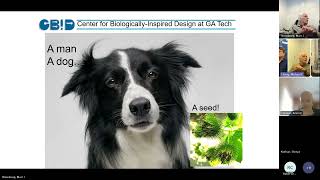 Biologically-Inspired Design: What Can We Learn? | Marc Weissburg | BBISS Seminar Series