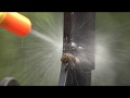 Bug A Salt 2.0 Slowmotion Wasp Yellow Jacket Kills Table Salt Gun UP CLOSE