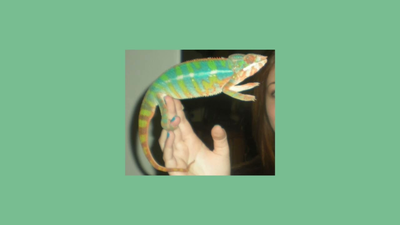 Karma Chameleon - sped up