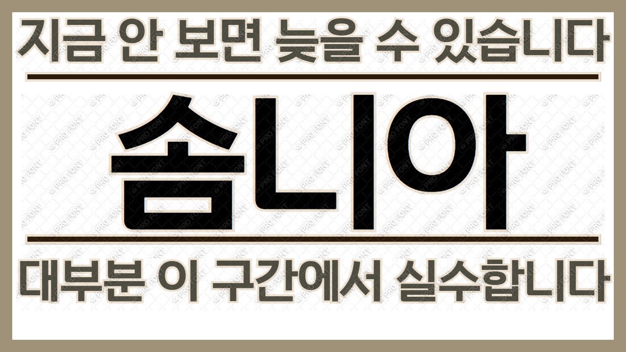 솜니아(SOMNIA) 지금 구간이 중요한 이유 정리(지금 판단이 필요한 시점입니다)