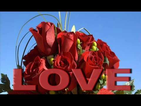 مزيكا يا مزيكا