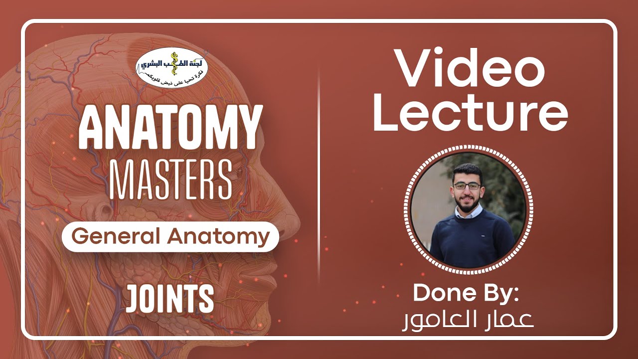 L6 Joints Anatomy Masters by عمار العامور YouTube