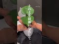 ミニモンステラの植え替え方法🌿#観葉植物育て方 #観葉植物のある暮らし #観葉植物 #観葉植物インテリア #植え替え #植物 #モンステラ