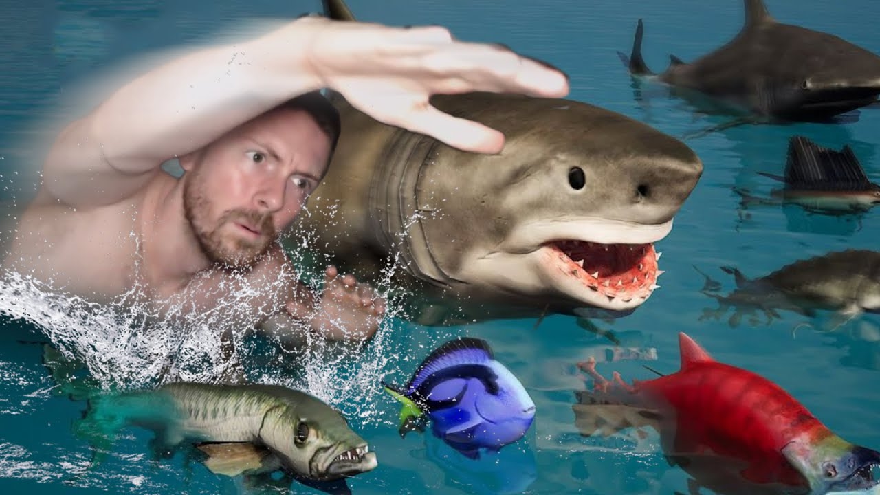 Animais que você venceria na NATAÇÃO