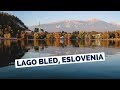 Cosas Que Ver y Hacer en Lago Bled, Eslovenia Guía Turística