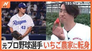 なぜ？元プロ野球選手がいちご農家に転身　珍しいピンクのいちごも栽培【すたすた中継】｜TBS NEWS DIG