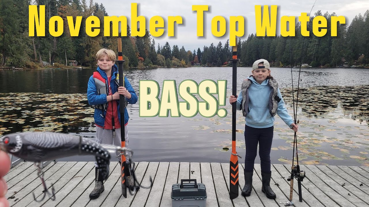 Ноябрьская рыбалка на окуня на Whopper Plopper! 