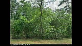 Homes for Sale - 16837 Pine Hollow, Flint, TX