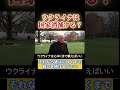 ウクライナは国家消滅する? #ロシア #ゼレンスキー #長嶋修