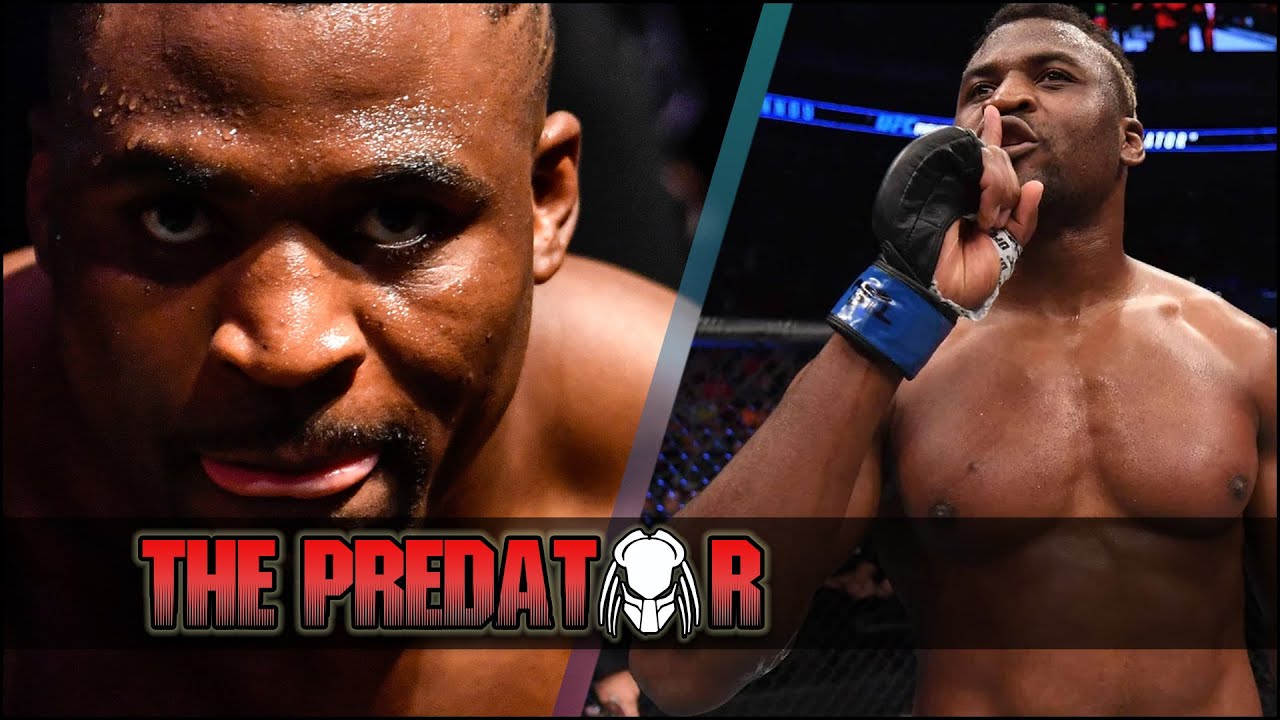 The Predator - Francis Ngannou Francis Ngannou Highlights | Francis Ngannou Knockouts