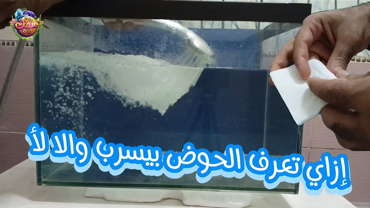 طريقة اختبار تسريب حوض سمك الزينه الجديد