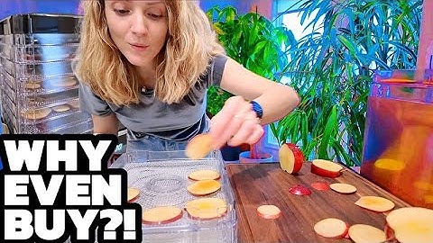 Needed To Be Said | Tupoyi Food Dehydrator Machine 8 Stainless Steel Trays with 48H Digital Timer