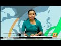 Mbwa na Punda wapewa chanjo eneo la Kisushe kaunti ya Taita Taveta