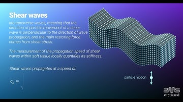 Animation compression vs shear waves