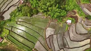 SEJARAH DESA SIPIJENA II Oleh: ANITA 