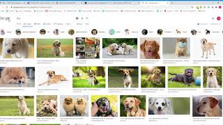 CS50W 2020 - Project 0: Search Submission
