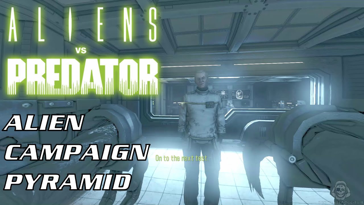 AVP 2010 - ALIEN CAMPAIGN PYRAMID