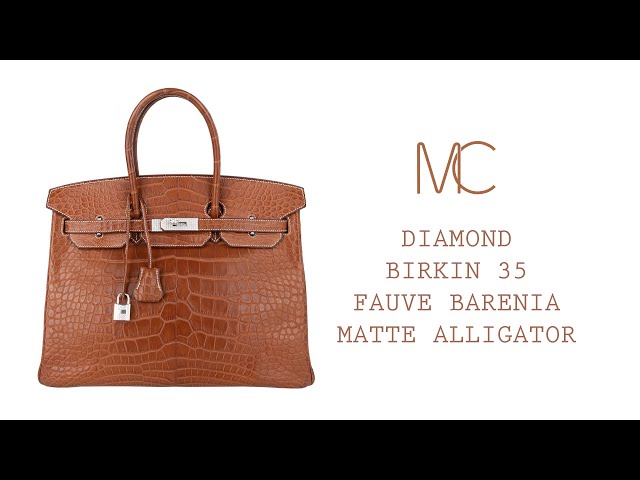 Hermes Limited Edition Birkin Bag 35 Fauve Barenia Faubourg Leather wi –  Mightychic