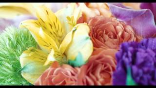 Red Square Flowers European Gifts - Fitchburg WI