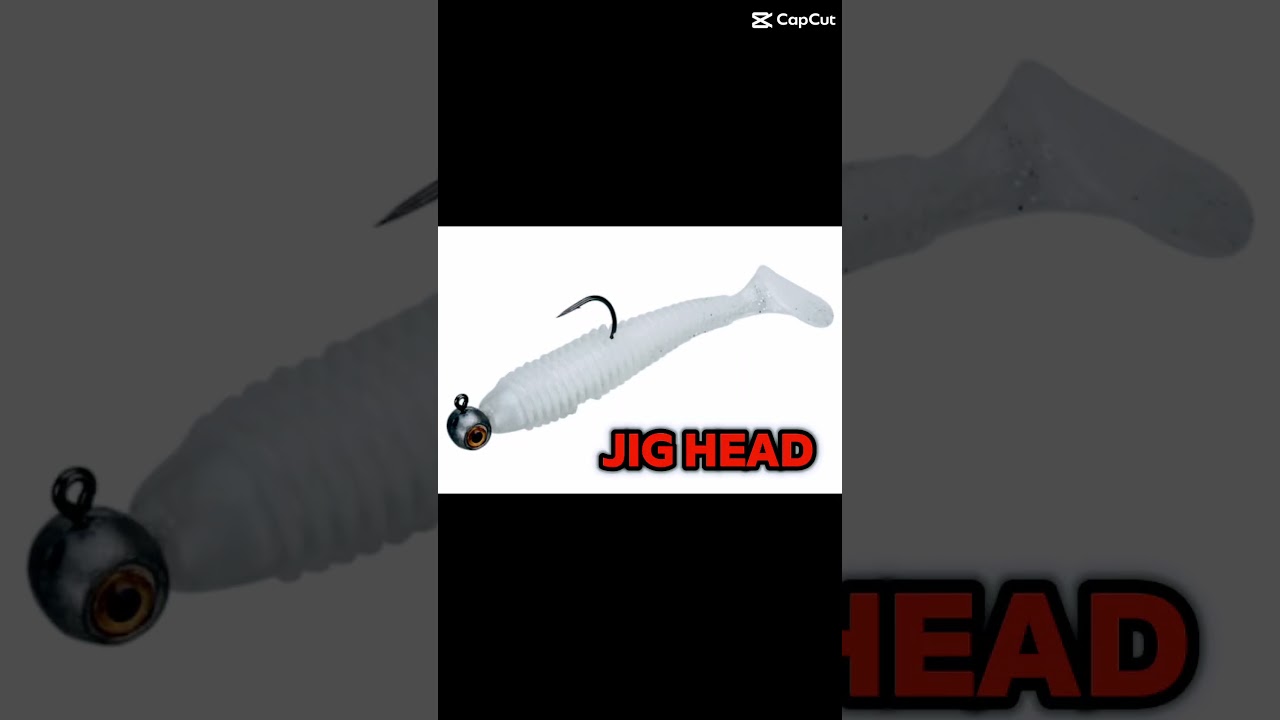 which one would u choose 