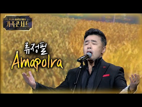 테너 류정필 ♬Amapolra 아마폴라 [2022 광양만권 <strong>화합의</strong> 가족 콘서트]