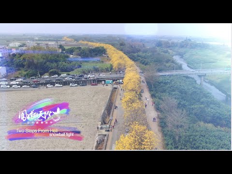 20200304【嘉義太保朴子溪畔黃花風鈴木空拍2.7K】by DJI Mavic2 zoom