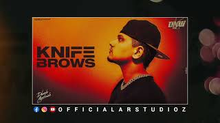 KNIFE BROWS | DHANDA NYOLIWALA | NEW DSP EDITION HARYANVI SONGS | CONCERT HALL SONGS