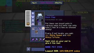 When You Get Rng Carried In Hypixel Skyblock