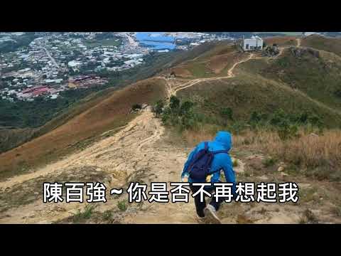 陳百強 ~ 你是否不再想起我