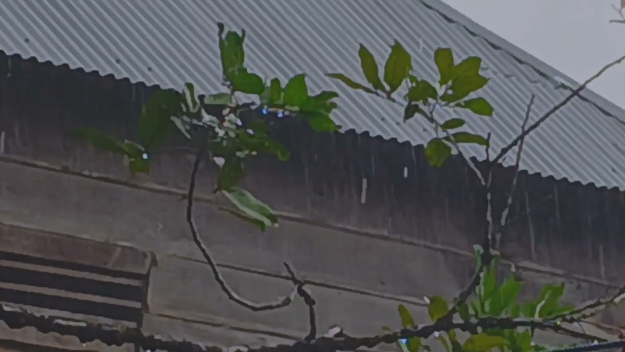 Stormy Nights: Heavy Rain & Thunder on the Tin Roof