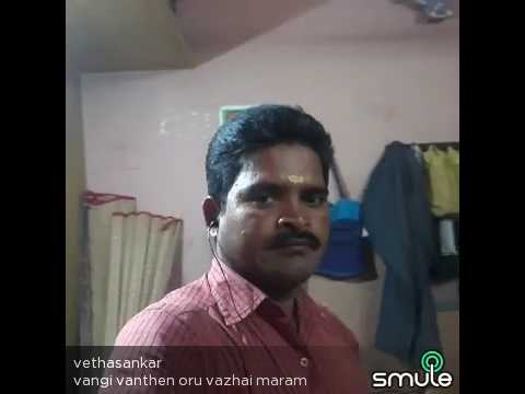 vaangi vanthen oru vazhai maram song vaangi vanthen oru vazhai maram song